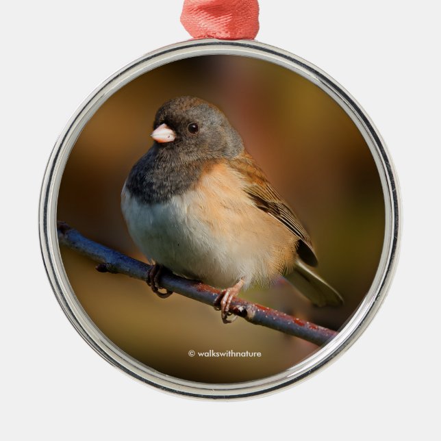 Dark-Eyed Junco Songbird on a Limb Metal Tree Decoration (Front)