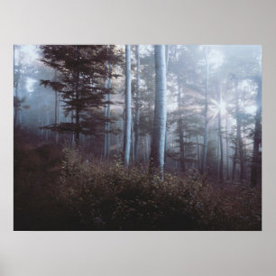 Dark Forest Print Poster Artwork Mural