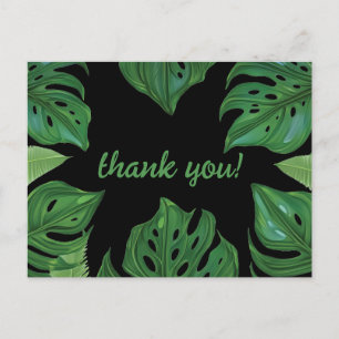 Dark Green and Black Jungle Monstera Leaves  Postcard
