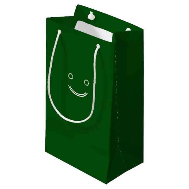 Dark Green bag (Front Angled)