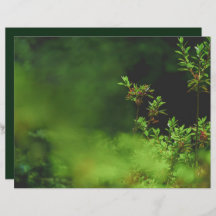 Dark green forest Scrapbook Paper