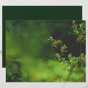 Dark green forest Scrapbook Paper