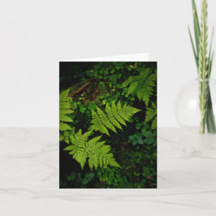 Dark green moody nature theme with ferns card