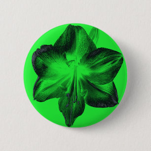 Dark Green on Light Green Amaryllis 6 Cm Round Badge