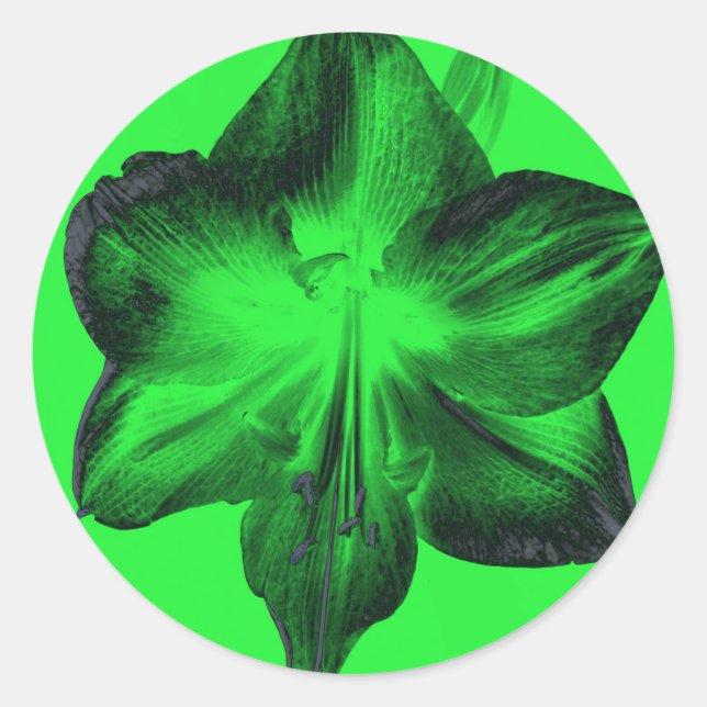 Dark Green on Light Green Amaryllis Classic Round Sticker (Front)