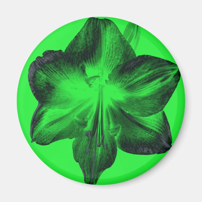 Dark Green on Light Green Amaryllis Magnet (Front)