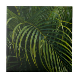 Dark green Palm Leaves Tile