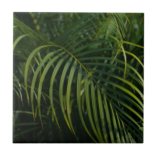 Dark green Palm Leaves Tile (Front)