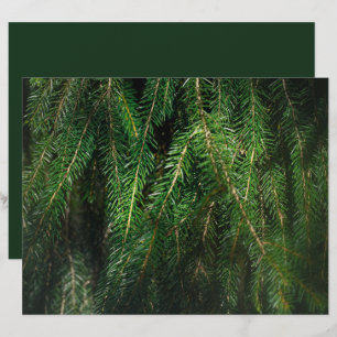 Dark green spruce tree, winter Scrapbook Paper