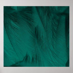 Dark Green Vintage Feather Texture Poster