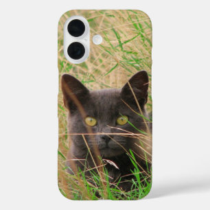 Dark Grey Cat Peeking out from Tall Grass iPhone 16 Case