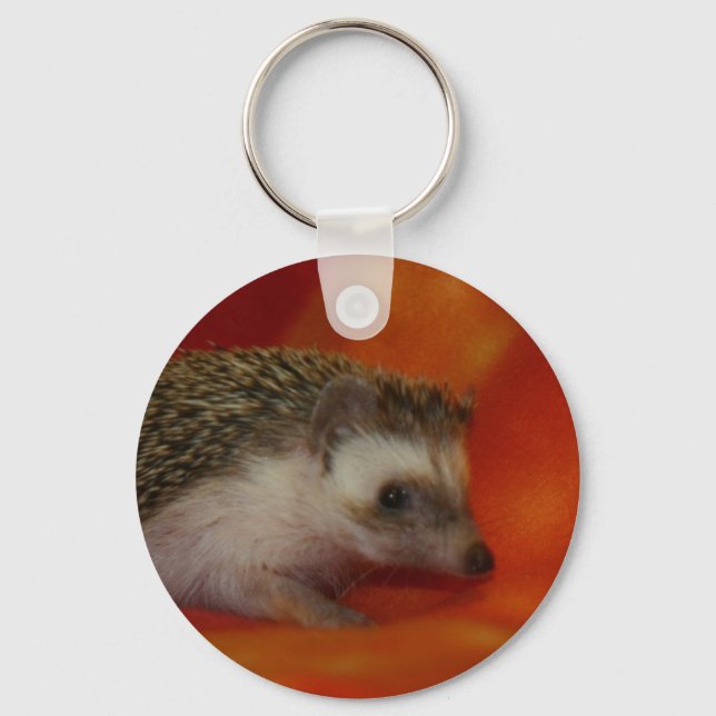 Dark hedgehog key ring (Front)
