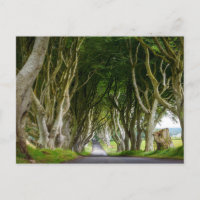 Dark Hedges in Ireland