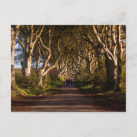 Dark Hedges Ireland