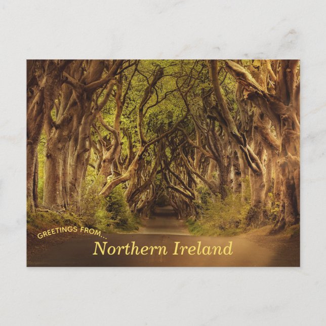Dark Hedges Northern Ireland Postcard (Front)
