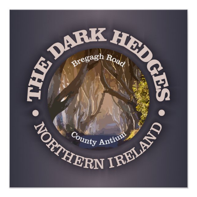 Dark Hedges (rd) Poster (Front)