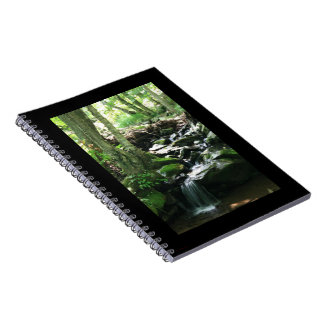 Dark Hollow Falls #4836 Notebook/Journal Notebook