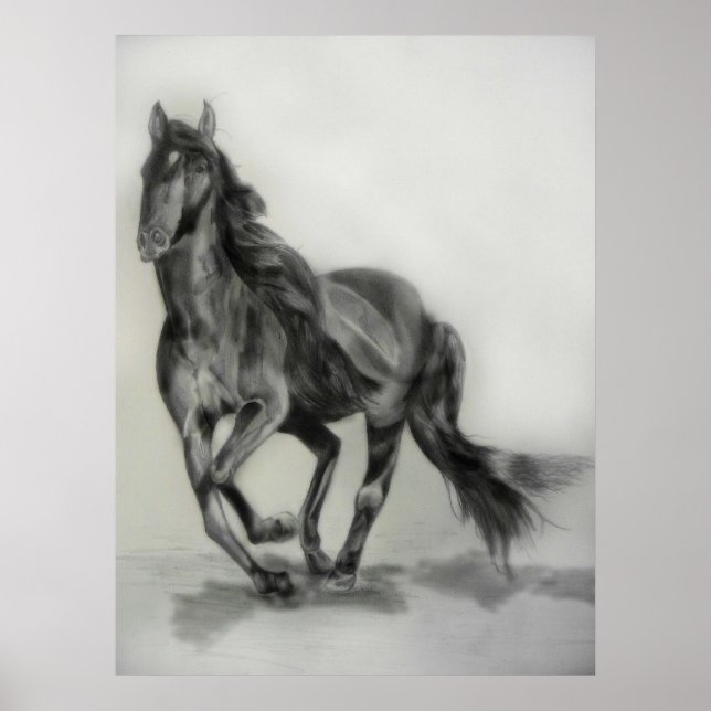 dark horse drawing poster (Front)