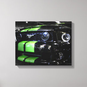 Dark Horse II Canvas Print