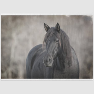 Dark Horse Tissue Paper