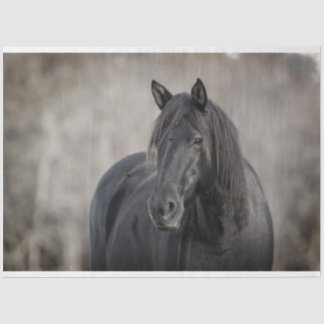 Dark Horse Tissue Paper