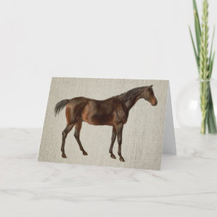 Dark Horse Vintage Illustrated Art Note Card