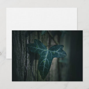 Dark Ivy Leaf Nature Photo Card