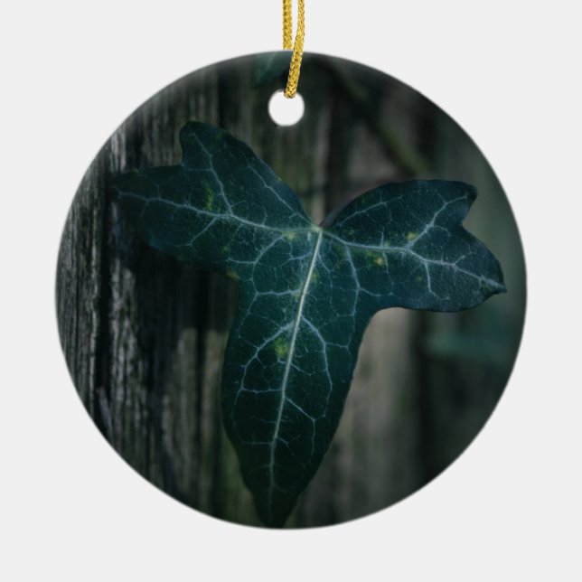 Dark Ivy Leaf Nature Photo Ceramic Tree Decoration (Front)