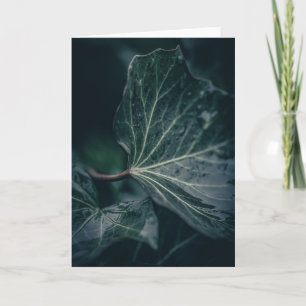 Dark Ivy Leaf Nature Photograph Card
