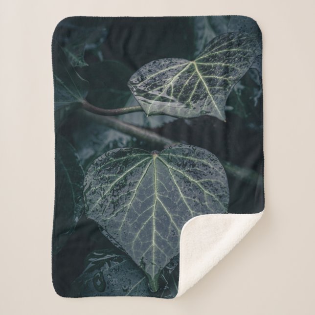 Dark Ivy Nature Photograph Sherpa Blanket (Front)
