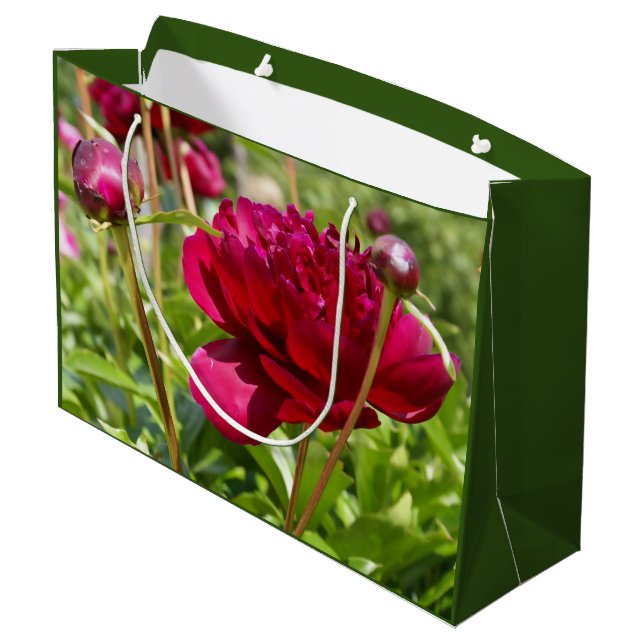 Dark Maroon velvet peonies Large Gift Bag (Back Angled)