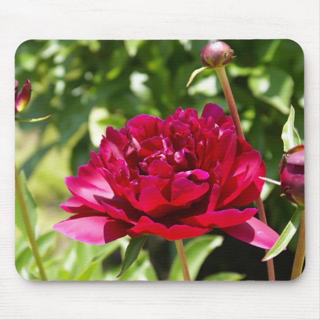 Dark Maroon velvet peonies Mouse Mat (Front)
