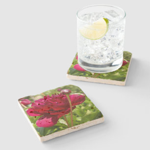 Dark Maroon velvet peonies Stone Coaster