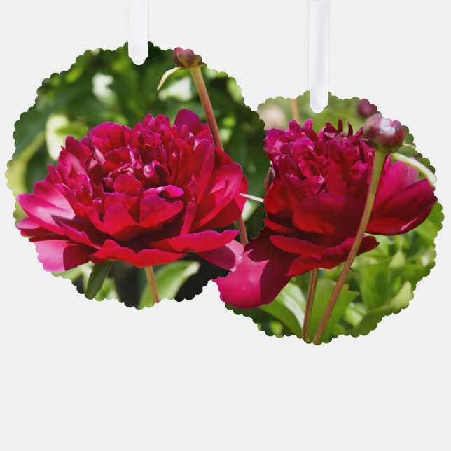 Dark Maroon velvet peonies  Tree Decoration Card (Front/Back)