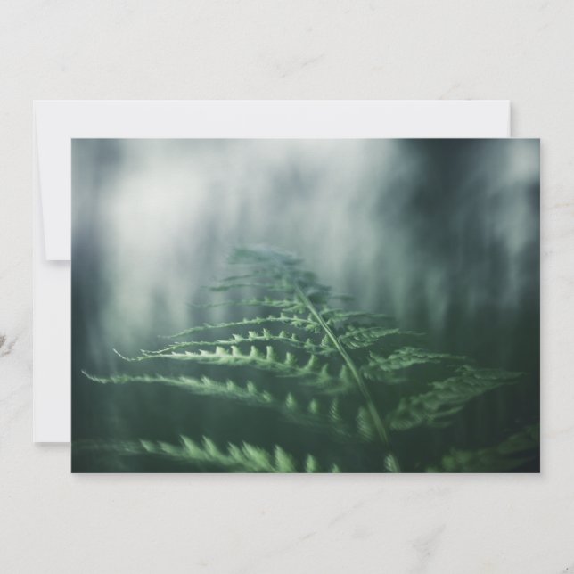 Dark Moody Fern nature photo card (Front)