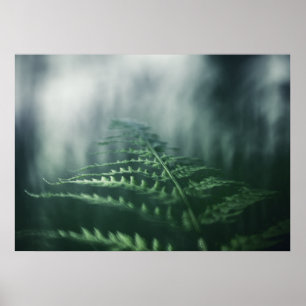 Dark Moody Fern nature photo Poster