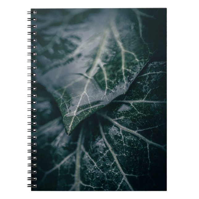 Dark Moody Ivy Leaves Nature Photo Notebook (Front)