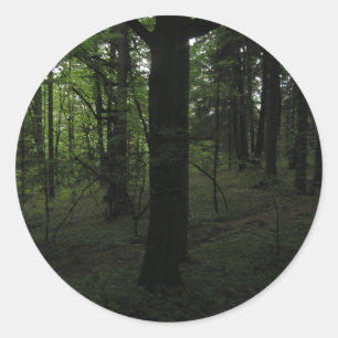 Dark mysticalforest in mid-day classic round sticker