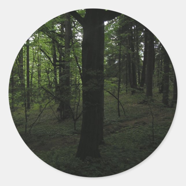 Dark mysticalforest in mid-day classic round sticker (Front)