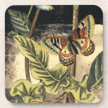 Dark Nature Scene by Vision Studio Coaster<br><div class="desc">This dark nature scene shows a couple of butterflies and a dragonfly congregating above deep green leaves and a beautiful flower. You can almost hear the beating of wings as you study the piece. If you enjoy nature you'll enjoy this painting. Buy your copy today!</div>