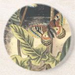 Dark Nature Scene by Vision Studio Coaster<br><div class="desc">This dark nature scene shows a couple of butterflies and a dragonfly congregating above deep green leaves and a beautiful flower. You can almost hear the beating of wings as you study the piece. If you enjoy nature you'll enjoy this painting. Buy your copy today!</div>