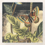Dark Nature Scene by Vision Studio Glass Coaster<br><div class="desc">This dark nature scene shows a couple of butterflies and a dragonfly congregating above deep green leaves and a beautiful flower. You can almost hear the beating of wings as you study the piece. If you enjoy nature you'll enjoy this painting. Buy your copy today!</div>