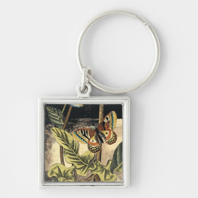 Dark Nature Scene by Vision Studio Key Ring (Front)