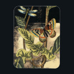 Dark Nature Scene by Vision Studio Magnet<br><div class="desc">This dark nature scene shows a couple of butterflies and a dragonfly congregating above deep green leaves and a beautiful flower. You can almost hear the beating of wings as you study the piece. If you enjoy nature you'll enjoy this painting. Buy your copy today!</div>