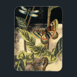 Dark Nature Scene by Vision Studio Magnet<br><div class="desc">This dark nature scene shows a couple of butterflies and a dragonfly congregating above deep green leaves and a beautiful flower. You can almost hear the beating of wings as you study the piece. If you enjoy nature you'll enjoy this painting. Buy your copy today!</div>