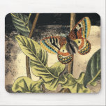 Dark Nature Scene by Vision Studio Mouse Mat<br><div class="desc">This dark nature scene shows a couple of butterflies and a dragonfly congregating above deep green leaves and a beautiful flower. You can almost hear the beating of wings as you study the piece. If you enjoy nature you'll enjoy this painting. Buy your copy today!</div>