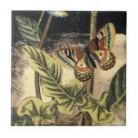 Dark Nature Scene by Vision Studio Tile<br><div class="desc">This dark nature scene shows a couple of butterflies and a dragonfly congregating above deep green leaves and a beautiful flower. You can almost hear the beating of wings as you study the piece. If you enjoy nature you'll enjoy this painting. Buy your copy today!</div>