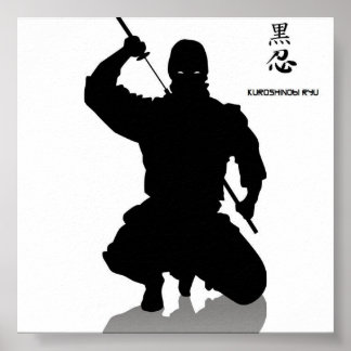 dark ninja, shhinnob poster
