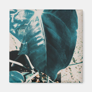 Dark Off Green Plant Leaf Magnet