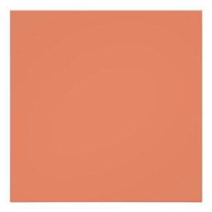 Dark Peach (solid colour)  Photo Print